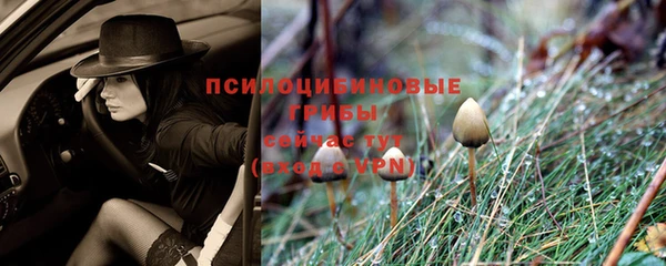эйфоретик Абдулино